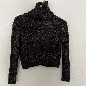 Zara Crop Knit Turtle Neck Sweater